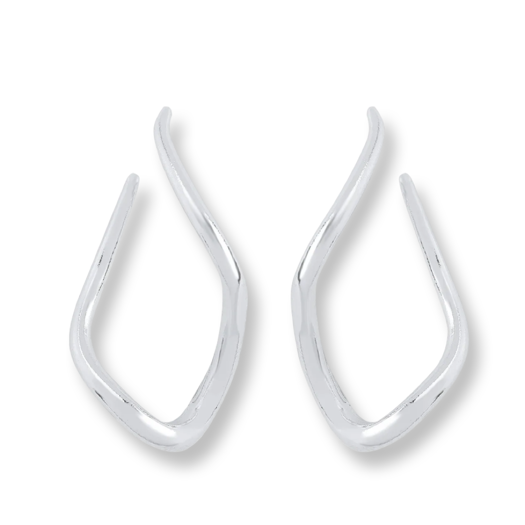 Stainless steel Exaggerated earrings