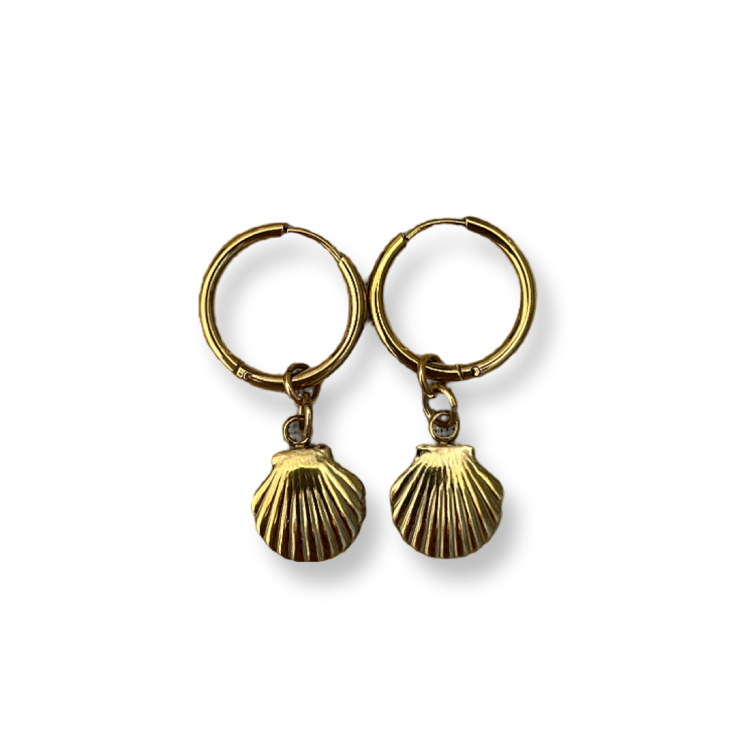 Shell earrings