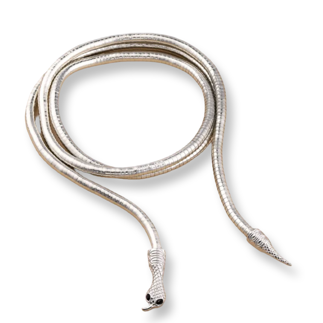Bendable Snake Necklace and Bracelet