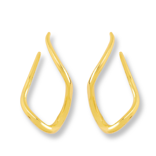 Stainless steel Exaggerated earrings