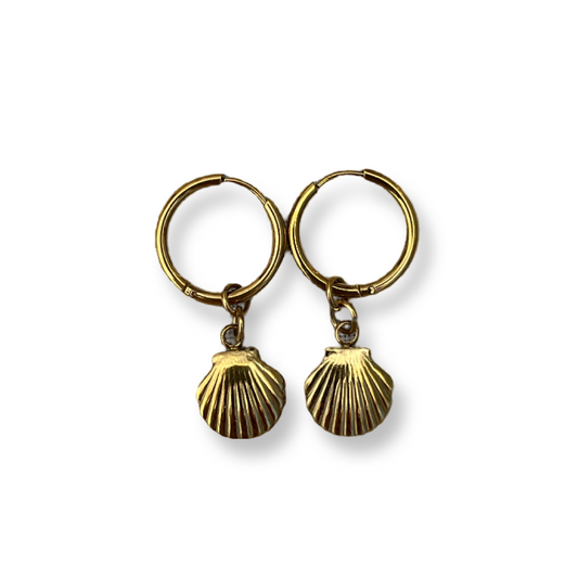 Shell earrings